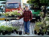 Wochenmarkt in Wolnzach