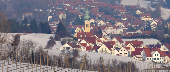 Wolnzach im Winter