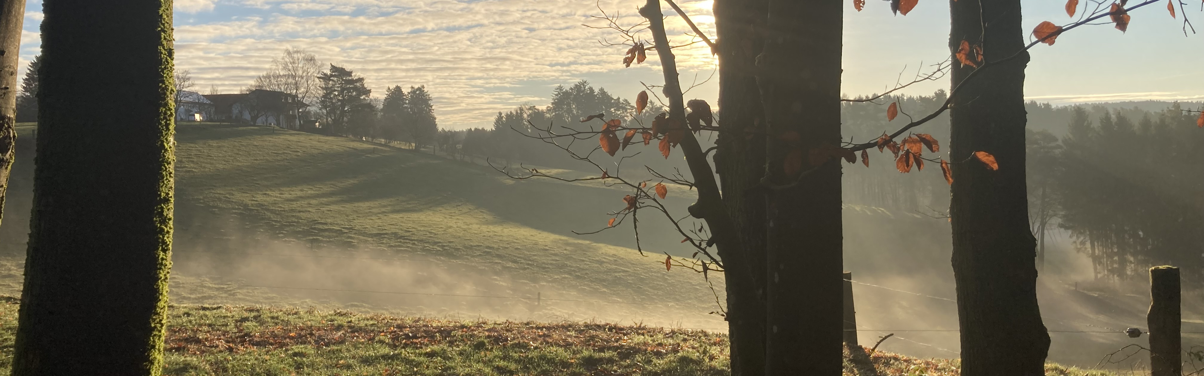 (c) K Sturm – Slider Waldspaziergang