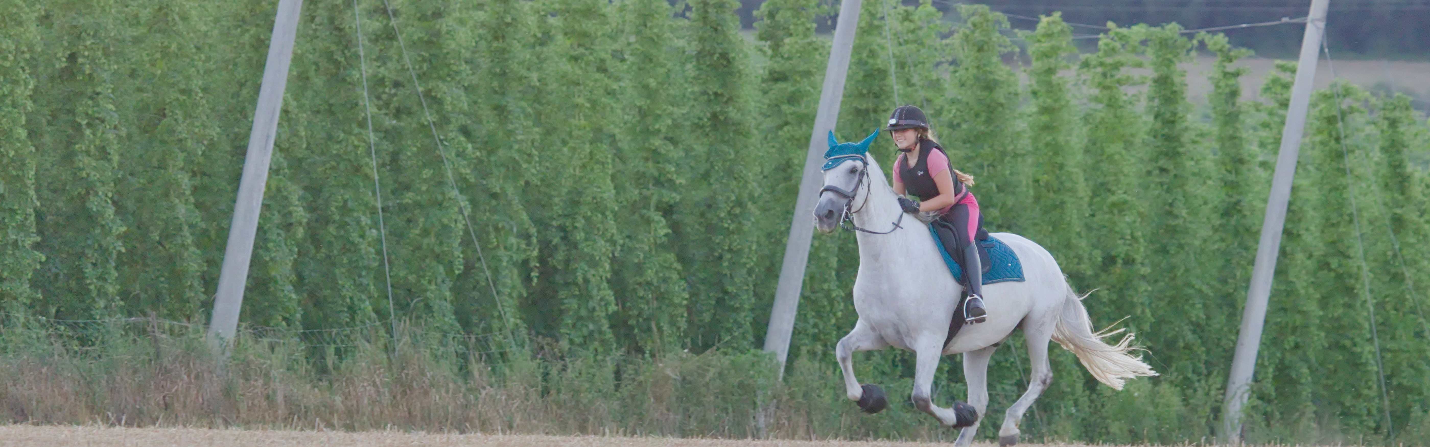 (c) Katona – Slider Hopfengarten mit Pferd